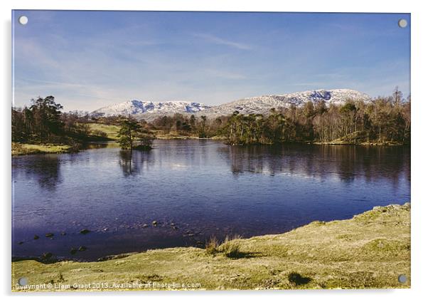 Frozen surface. Tarn Hows, Lake District, Cumbria, Acrylic by Liam Grant