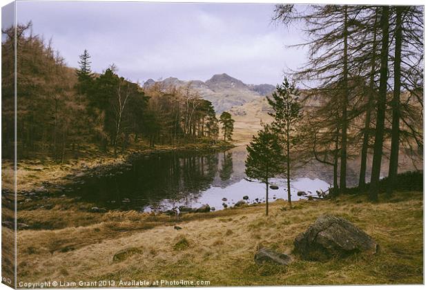 Frozen Blea Tarn and Langdale Pikes. Lake District Canvas Print by Liam Grant