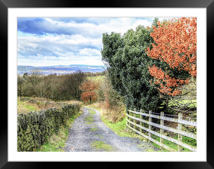 A country lane in autumn Framed Mounted Print by Mike Dickinson