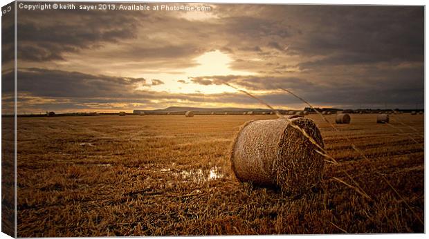 Wet Harvest Canvas Print by keith sayer