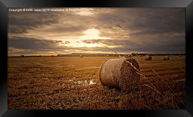Wet Harvest Framed Print by keith sayer