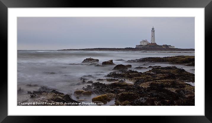 St. Mary’s Lighthouse Framed Mounted Print by David Pringle