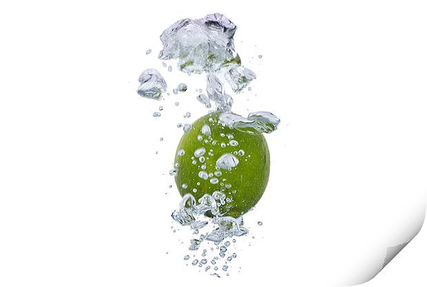 lime in water Print by Justyna studio