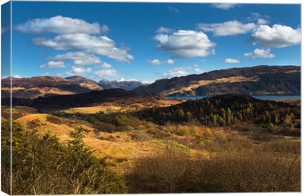 Highland View. Canvas Print by David Hare