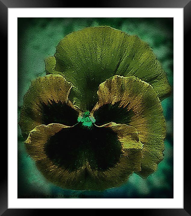 Begonia Collection Framed Mounted Print by Emma Ward