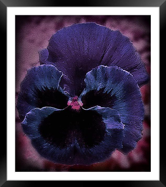 Begonia collection Framed Mounted Print by Emma Ward