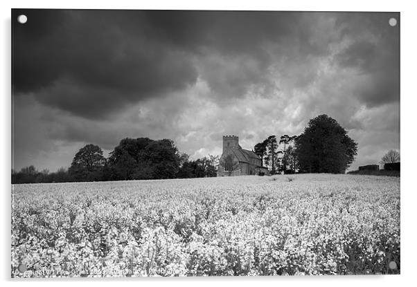 St Andrews Church and Rape field. West Bradenham,  Acrylic by Liam Grant