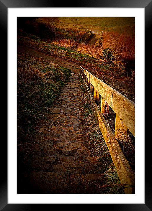 Country Steps Framed Mounted Print by GARY KEYS