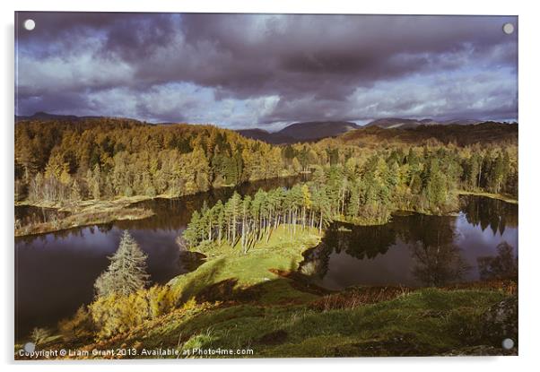 Tarn Hows and view towards Tom Heights. Lake Distr Acrylic by Liam Grant