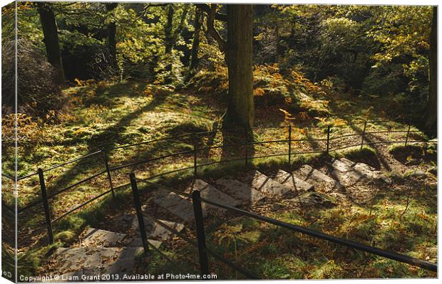 Footpaths through Autumnal woodland at Aira Force. Canvas Print by Liam Grant
