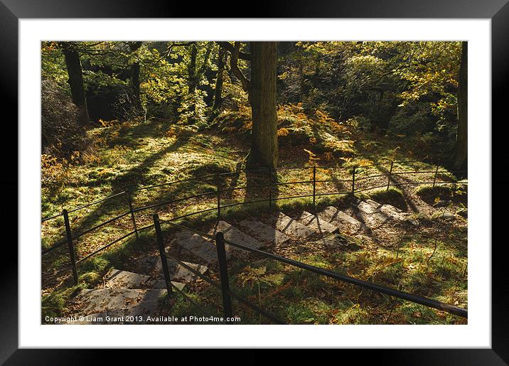Footpaths through Autumnal woodland at Aira Force. Framed Mounted Print by Liam Grant