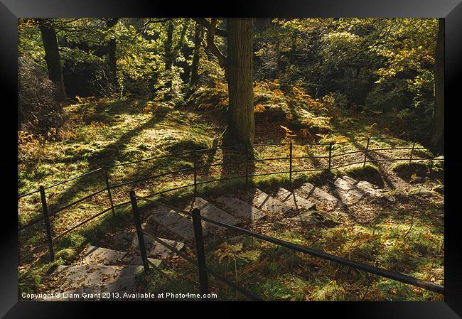 Footpaths through Autumnal woodland at Aira Force. Framed Print by Liam Grant