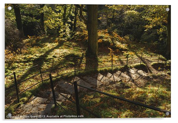 Footpaths through Autumnal woodland at Aira Force. Acrylic by Liam Grant
