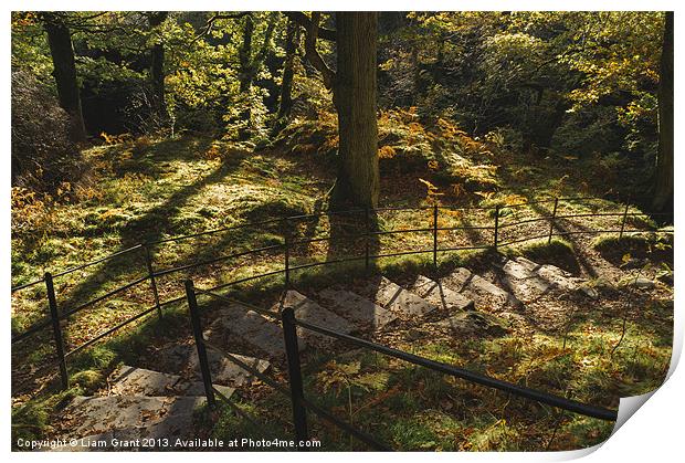 Footpaths through Autumnal woodland at Aira Force. Print by Liam Grant