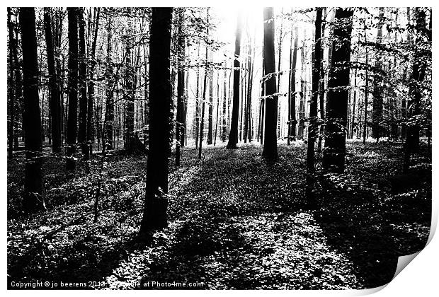 the dark forest Print by Jo Beerens