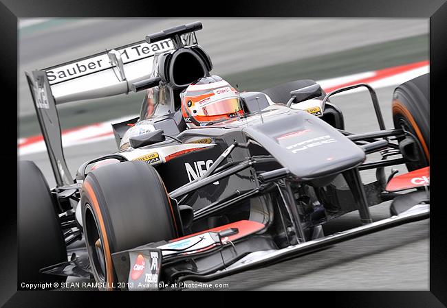 Nico Hülkenberg - Sauber F1 Team 2013 Framed Print by SEAN RAMSELL