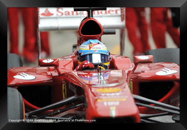 Fernando Alonso - Ferrari - 2013 Framed Print by SEAN RAMSELL