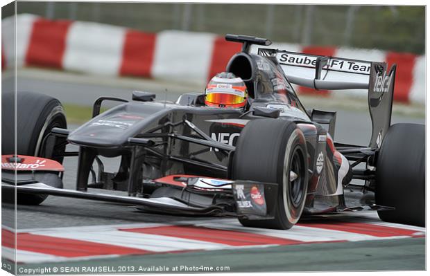 Nico Hülkenberg - Sauber F1 Team 2013 Canvas Print by SEAN RAMSELL
