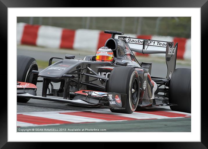 Nico Hülkenberg - Sauber F1 Team 2013 Framed Mounted Print by SEAN RAMSELL