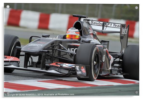 Nico Hülkenberg - Sauber F1 Team 2013 Acrylic by SEAN RAMSELL