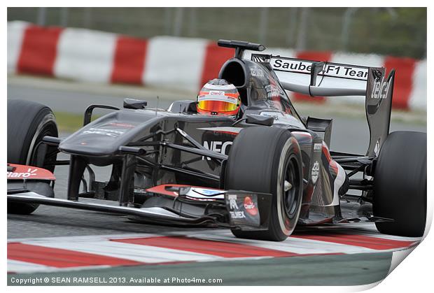 Nico Hülkenberg - Sauber F1 Team 2013 Print by SEAN RAMSELL