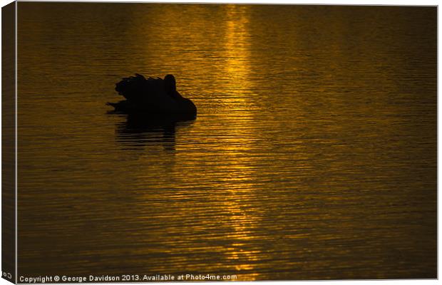 Red Ripples Canvas Print by George Davidson