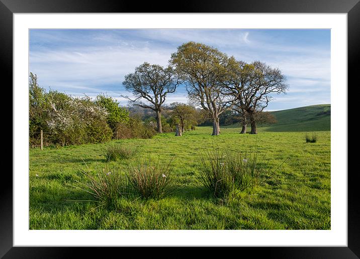 Spring Meadow Framed Mounted Print by Barry Maytum