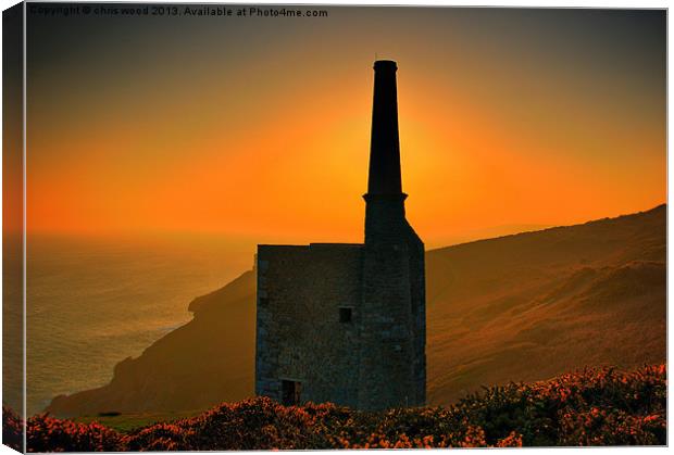 ruins of cornish industry Canvas Print by chris wood