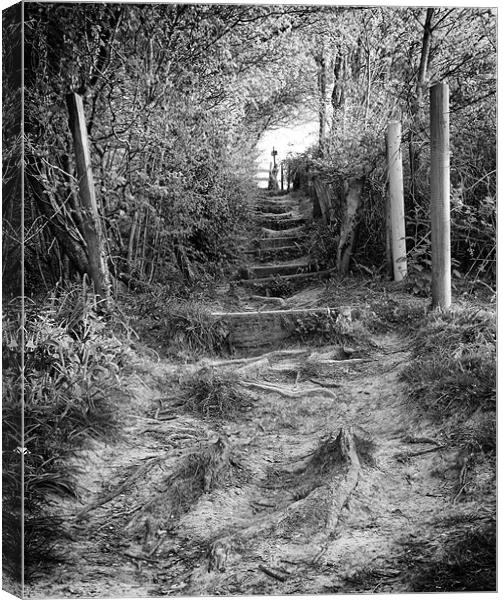 Steps Canvas Print by Barry Maytum