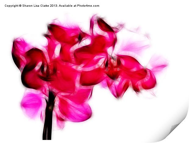 Fractalius pink orchid Print by Sharon Lisa Clarke