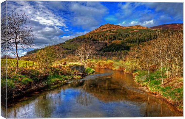 Dodd Woods in Cumbria Canvas Print by Roger Green