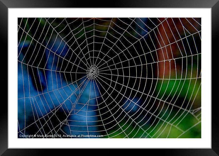 Spiderweb Framed Mounted Print by Mark  F Banks