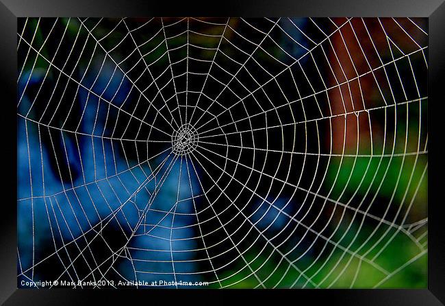 Spiderweb Framed Print by Mark  F Banks