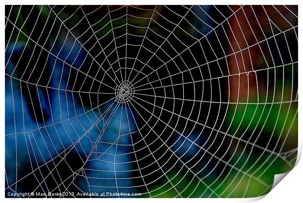 Spiderweb Print by Mark  F Banks