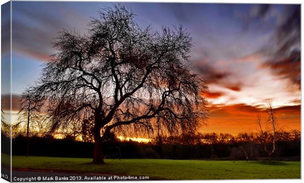 Sunrise on our field Canvas Print by Mark  F Banks