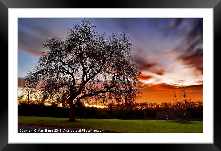 Sunrise on our field Framed Mounted Print by Mark  F Banks