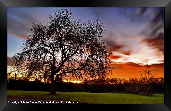 Sunrise on our field Framed Print by Mark  F Banks