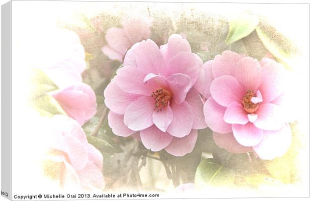 Delicate Camelias Canvas Print by Michelle Orai