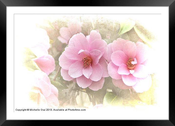 Delicate Camelias Framed Mounted Print by Michelle Orai
