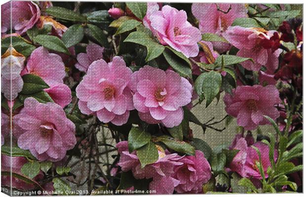 Camellia Tapestry Canvas Print by Michelle Orai