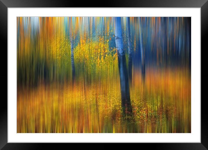 In the Golden Woods. Impressionism  Framed Mounted Print by Jenny Rainbow