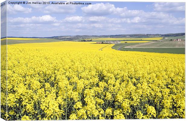 Rapeseed fields Oxfordshire Canvas Print by Jim Hellier