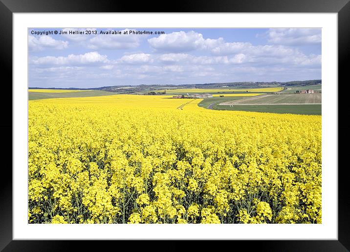 Rapeseed fields Oxfordshire Framed Mounted Print by Jim Hellier