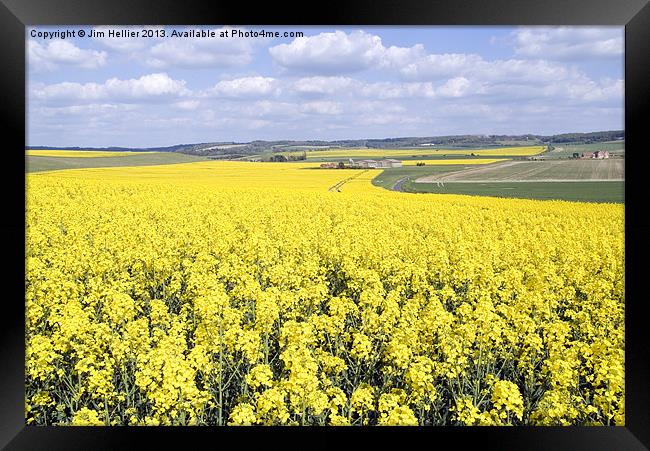 Rapeseed fields Oxfordshire Framed Print by Jim Hellier