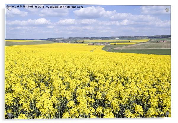 Rapeseed fields Oxfordshire Acrylic by Jim Hellier