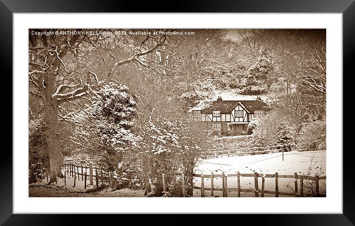 NEW FOREST SNOW Framed Mounted Print by Anthony Kellaway