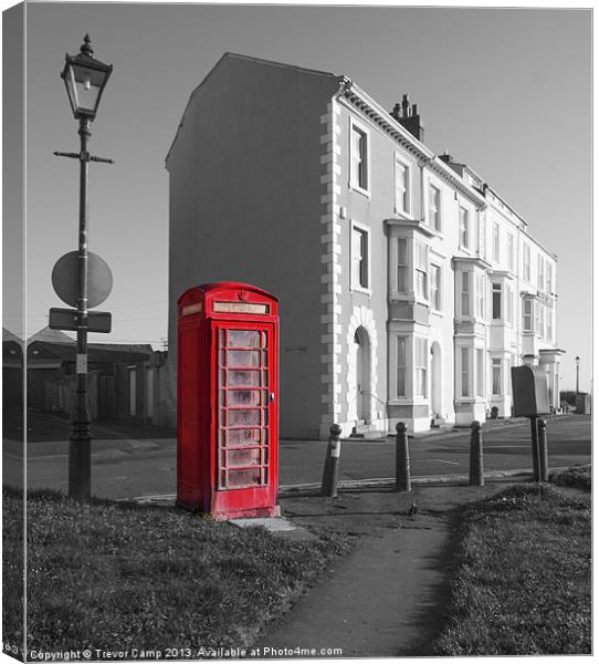 Old Red Box Canvas Print by Trevor Camp