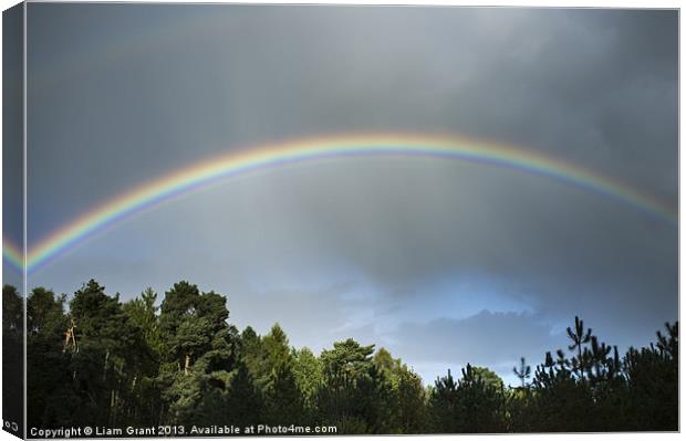 Rainbow over Thetford Forest. Norfolk, UK Canvas Print by Liam Grant