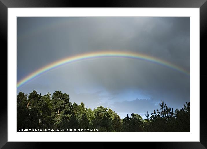 Rainbow over Thetford Forest. Norfolk, UK Framed Mounted Print by Liam Grant