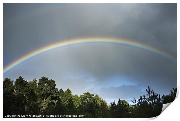 Rainbow over Thetford Forest. Norfolk, UK Print by Liam Grant